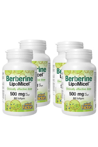 قرص بربرین ۵۰۰ میلی گرم ۲۴۰ عددی